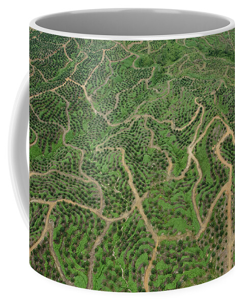 Feb0514 Coffee Mug featuring the photograph African Oil Palm Plantation Malaysia #2 by Ch'ien Lee
