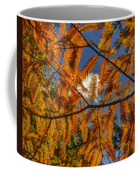 Autumn Coffee Mug featuring the photograph Autumn Leaves I by Kathi Isserman