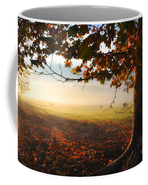 Tree Coffee Mug featuring the photograph Autumn tree #2 by Mats Silvan