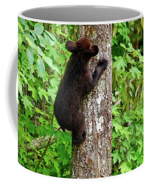 Bear Coffee Mug featuring the photograph Baby Bear by Christi Kraft
