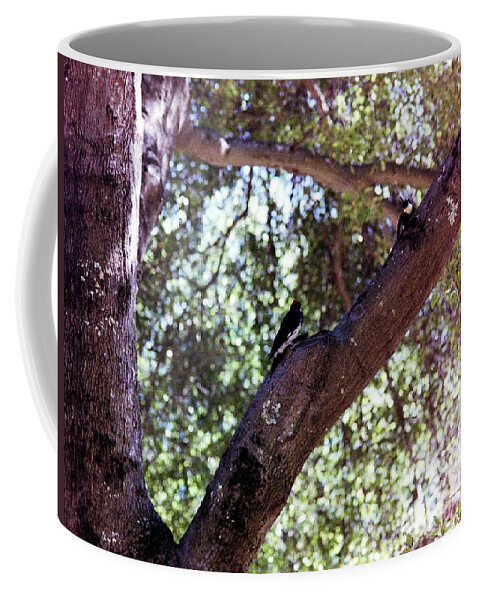 Birds Coffee Mug featuring the photograph Bird in tree #2 by Karl Rose