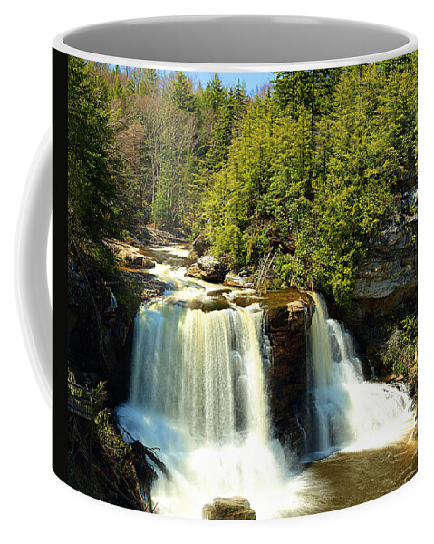 Black Coffee Mug featuring the photograph Blackwater Falls #2 by Metro DC Photography