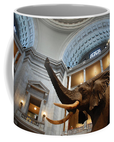 Bull Elephant Coffee Mug featuring the photograph Bull Elephant in Natural History Rotunda by Kenny Glover