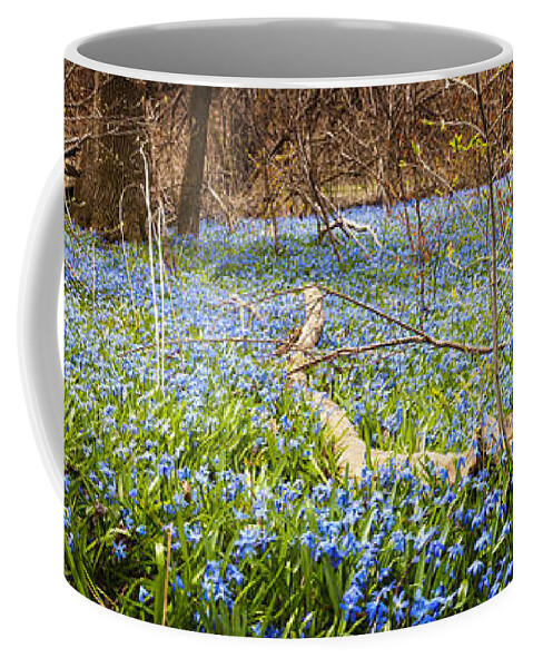 Flowers Coffee Mug featuring the photograph Carpet of blue flowers in spring forest 1 by Elena Elisseeva