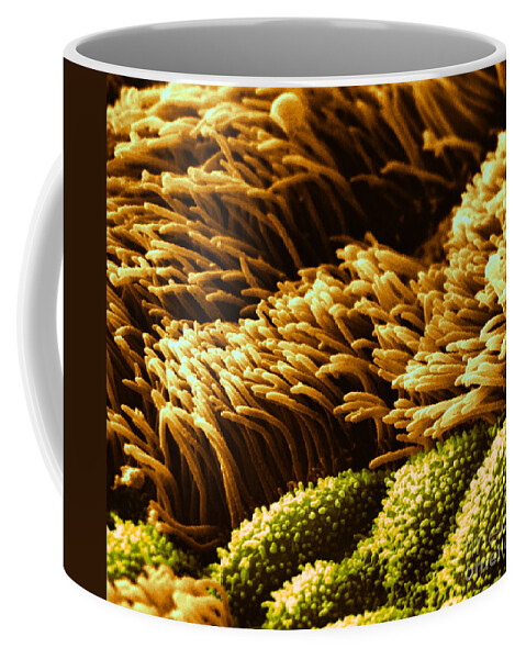 Science Coffee Mug featuring the photograph Cilia In Lung, Sem #2 by David M. Phillips