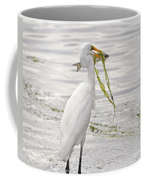 Egret Coffee Mug featuring the photograph Colossal Catch by Al Powell Photography USA
