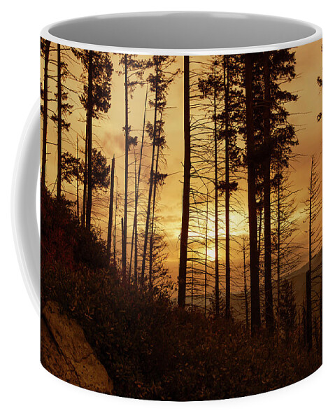 Ron Roberts Photography Coffee Mug featuring the photograph Early Morning by Ron Roberts