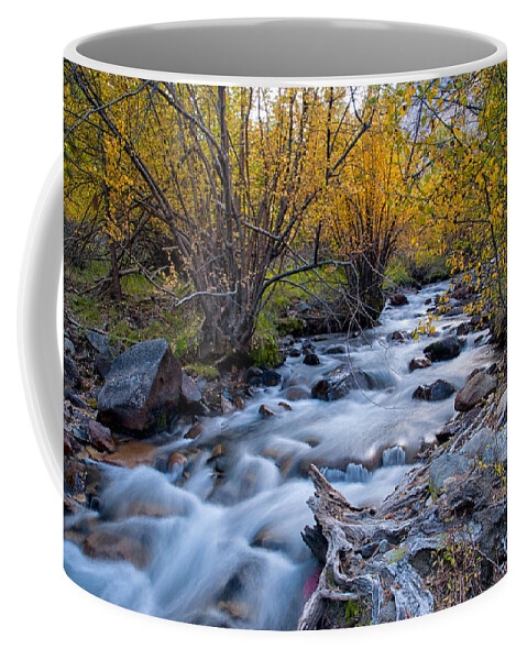 River Coffee Mug featuring the photograph Fall at Big Pine Creek #2 by Cat Connor