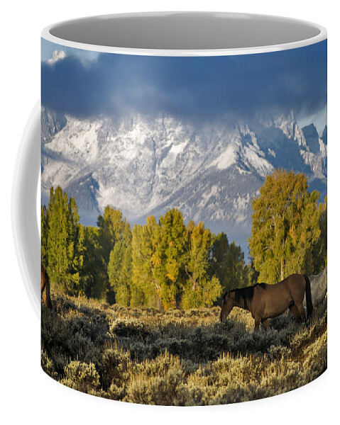 Nature Coffee Mug featuring the photograph Grand Teton National Park, Wy #2 by Mark Newman