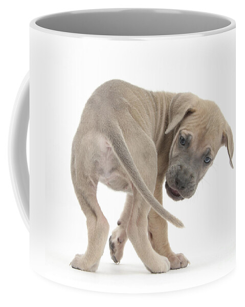 Great Dane Puppy Coffee Mug featuring the photograph Great Dane Puppy #4 by Mark Taylor