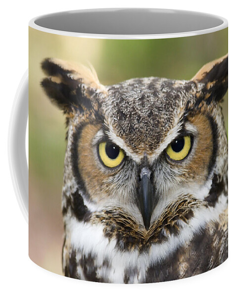 Great Horned Owls Coffee Mug featuring the photograph Great Horned Owl #4 by Jill Lang