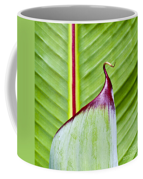 Heiko Coffee Mug featuring the photograph Green Leaves #2 by Heiko Koehrer-Wagner