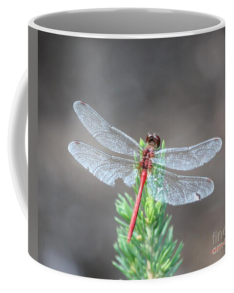 Dragonfly Coffee Mug featuring the photograph Hard Life #2 by Veronica Batterson