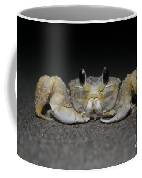 Crab Coffee Mug featuring the photograph I Like To Pinch #2 by Dan Stone