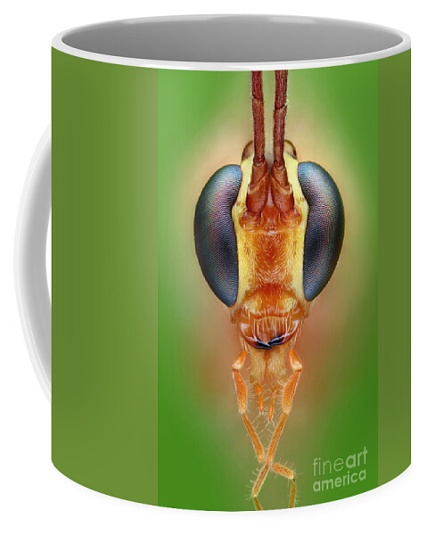 Ichneumon Wasp Coffee Mug featuring the photograph Ichneumon Wasp #2 by Matthias Lenke