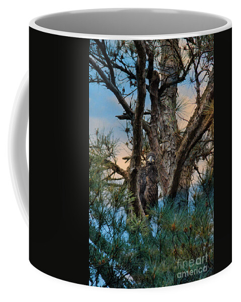 Baby Coffee Mug featuring the photograph Juvenile Eagle in a Pine Tree #3 by Jai Johnson