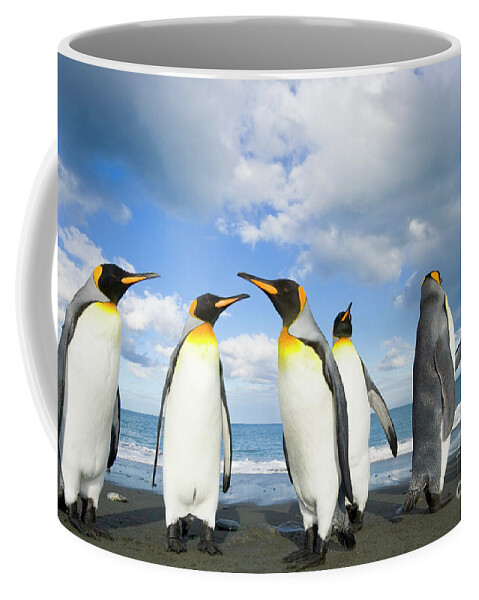 00345362 Coffee Mug featuring the photograph King Penguins in Gold Harbour by Yva Momatiuk John Eastcott