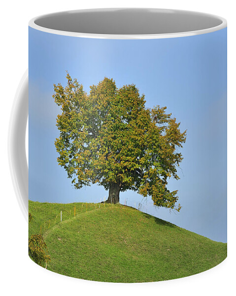 Feb0514 Coffee Mug featuring the photograph Lime Tree Zug Switzerland #2 by Thomas Marent