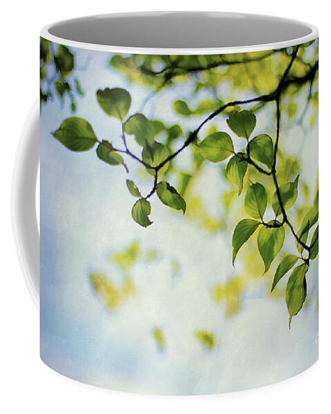 Background Coffee Mug featuring the photograph Looking Up #2 by Darren Fisher
