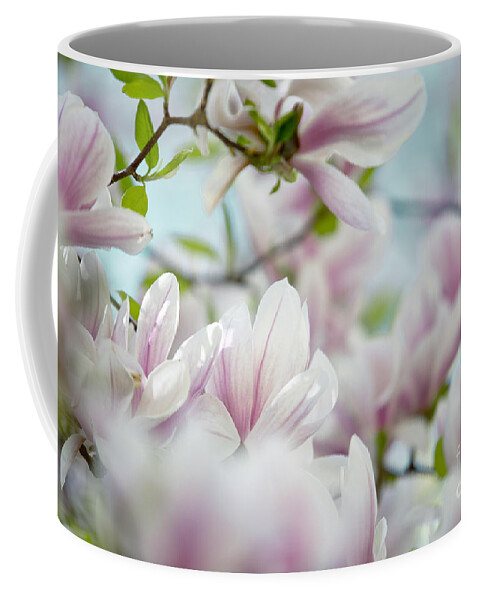Magnolia Coffee Mug featuring the photograph Magnolia Flowers by Nailia Schwarz