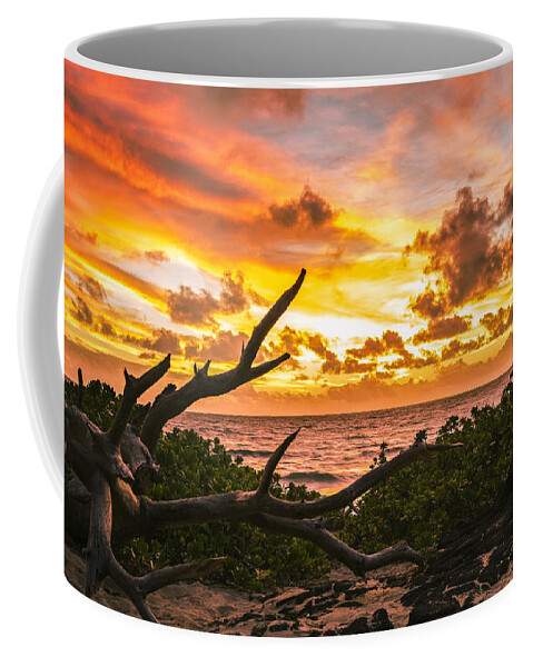 Aqua Coffee Mug featuring the photograph Makapuu Sunrise 4 #2 by Leigh Anne Meeks