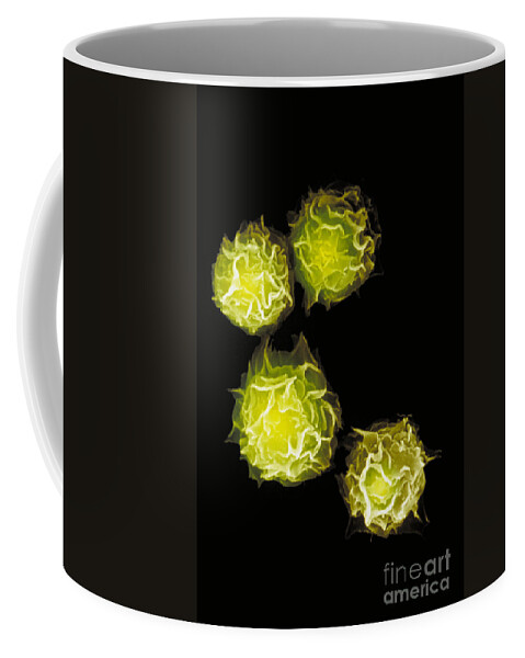 Mast Cell Coffee Mug featuring the photograph Mast Cells #2 by Stem Jems