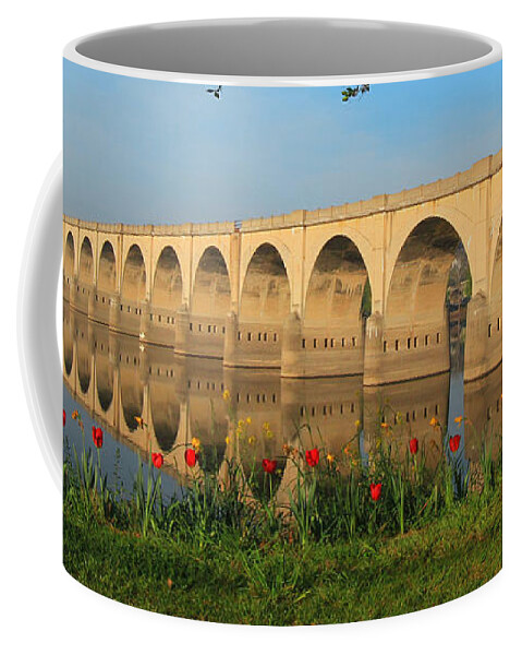 Reflections Coffee Mug featuring the photograph Mirror Image by Geoff Crego