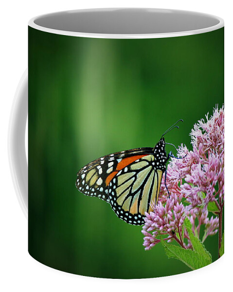 Butterfly Coffee Mug featuring the photograph Monarch in Light by Neal Eslinger