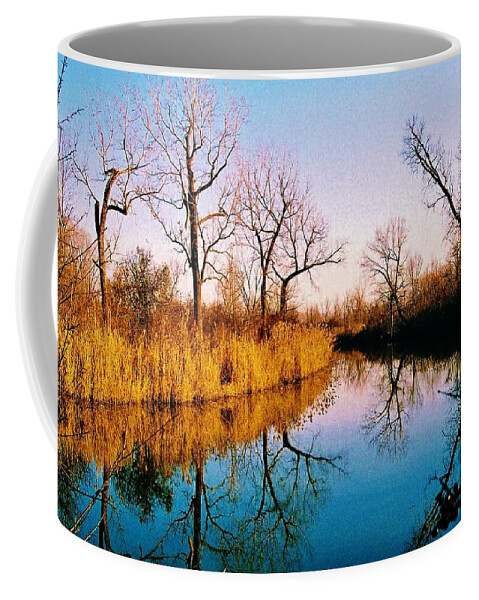 Water Coffee Mug featuring the photograph November by Daniel Thompson