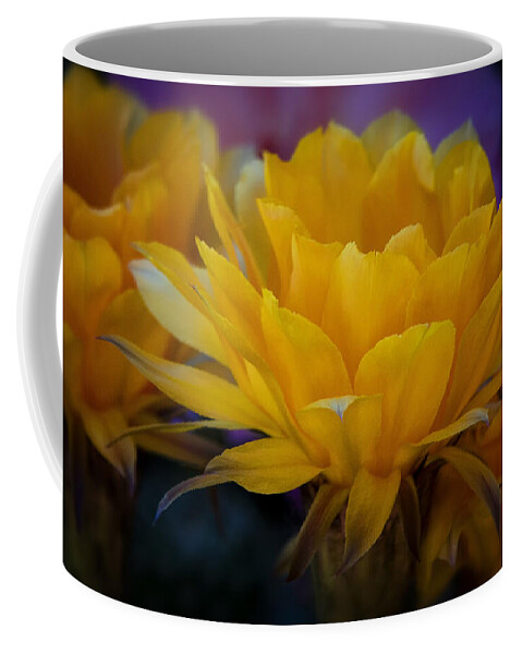 Orange Flower Coffee Mug featuring the photograph Orange Cactus Flowers #2 by Saija Lehtonen