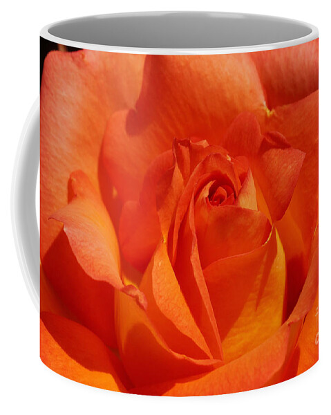 Prott Coffee Mug featuring the photograph Orange Rose 1 by Rudi Prott