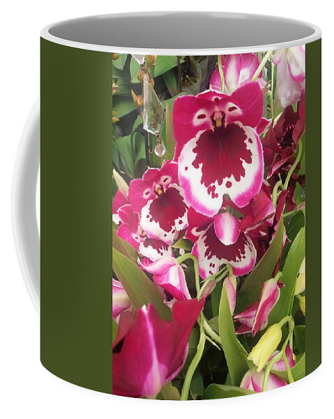 Orchid Coffee Mug featuring the photograph Orchids #2 by Jane Girardot