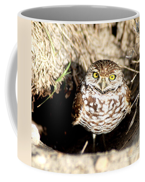 Bird Coffee Mug featuring the photograph Owl by Oksana Semenchenko