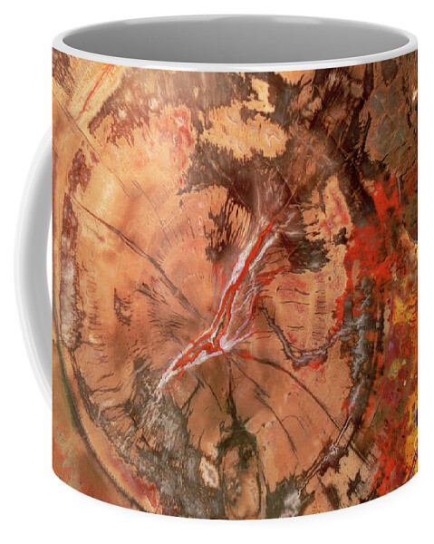 00343399 Coffee Mug featuring the photograph Petrified Wood Detail by Yva Momatiuk John Eastcott