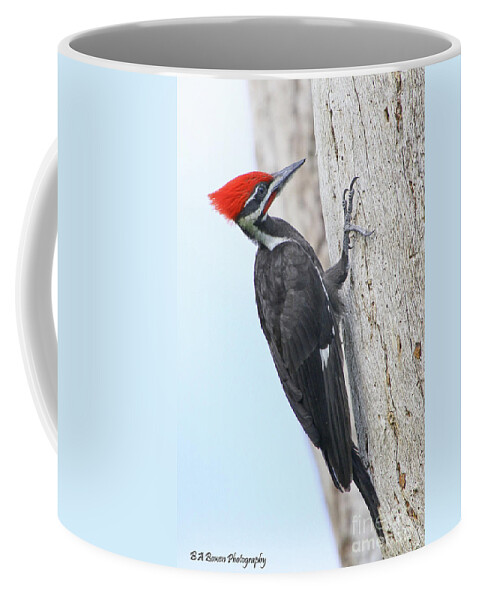 Pileated Woodpecker Coffee Mug featuring the photograph Pileated Woodpecker #2 by Barbara Bowen