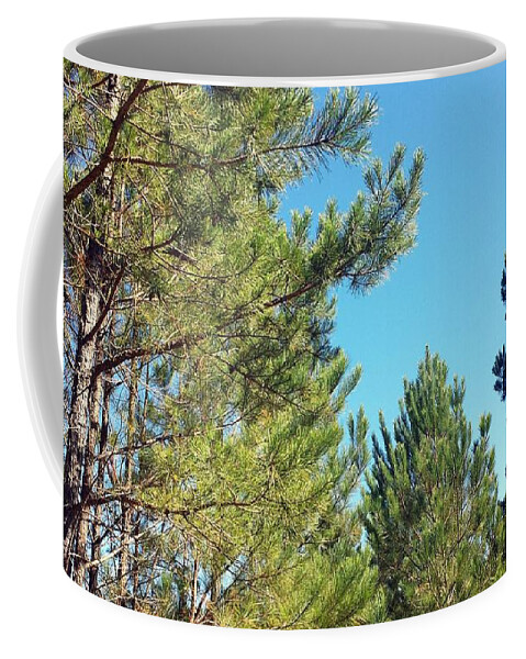 Pine Coffee Mug featuring the photograph Pine Forest Fall #2 by Kenny Glover