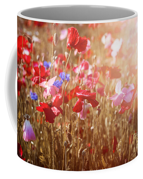 Poppies Coffee Mug featuring the photograph Poppies in sunny meadow by Elena Elisseeva