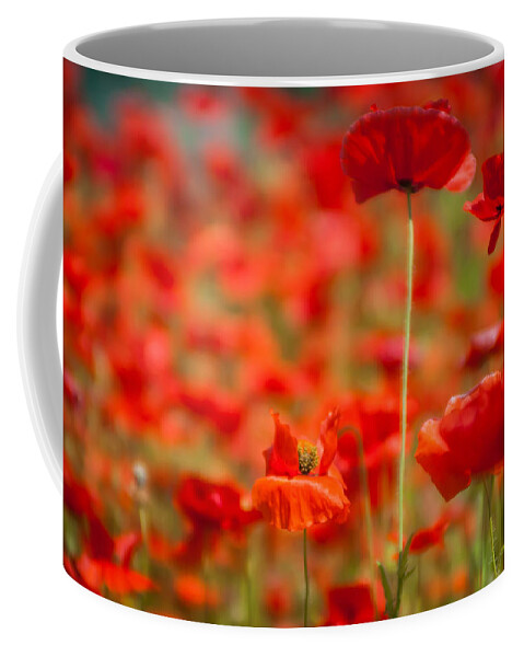 Agriculture Coffee Mug featuring the photograph Poppy Field  #2 by Alex Grichenko