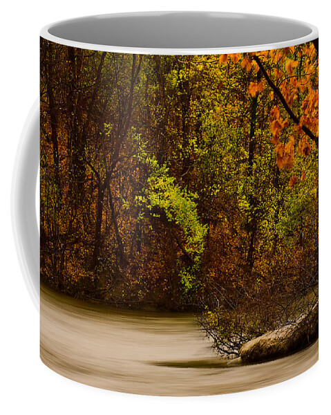 Autumn Coffee Mug featuring the photograph Rainy Morning #2 by Onyonet Photo studios