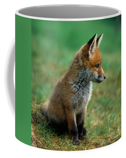Fauna Coffee Mug featuring the photograph Red Fox #2 by Hans Reinhard