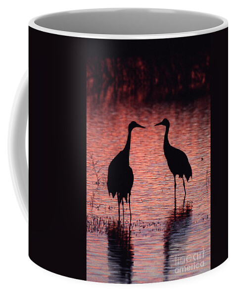 Birds Coffee Mug featuring the photograph Sandhill cranes by Steven Ralser