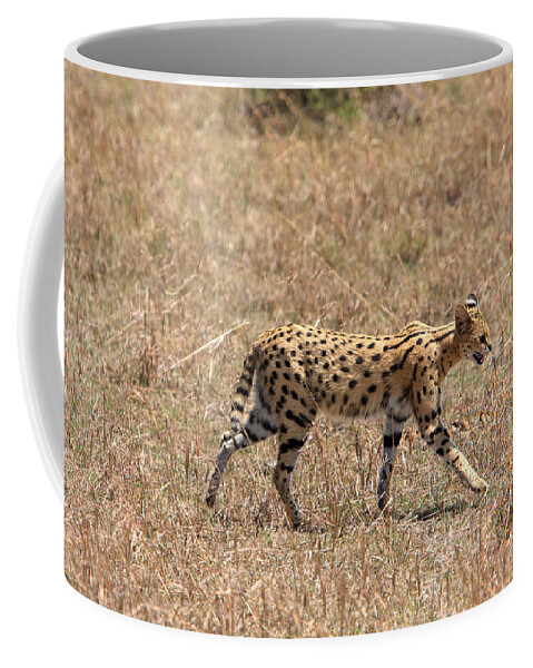Africa Coffee Mug featuring the photograph Serval Cat On the Masai Mara, Kenya by Aidan Moran