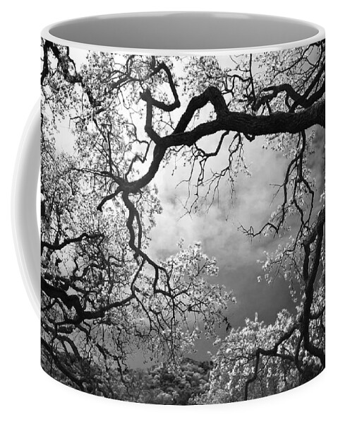 Pleasanton Coffee Mug featuring the photograph Sheltering Sky #2 by Laurie Search