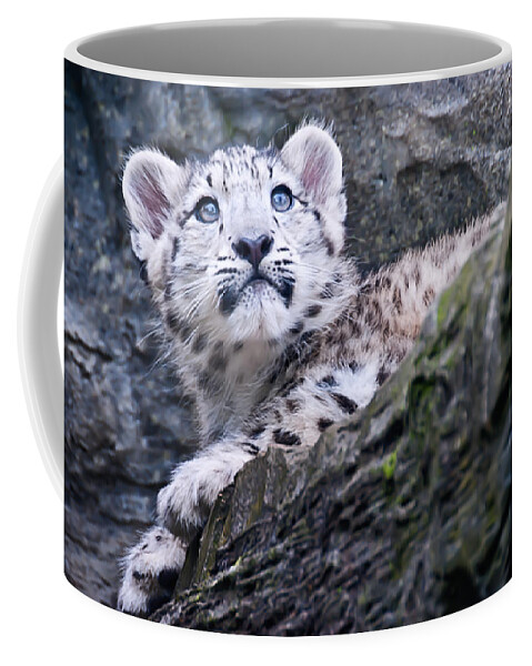 Marwell Coffee Mug featuring the photograph Snow Leopard Cub by Chris Boulton