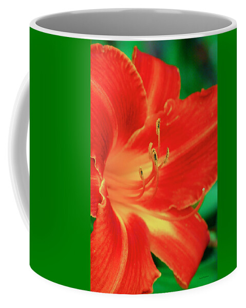 Lily Coffee Mug featuring the digital art Red, Orange and Yellow Lily by Crystal Wightman