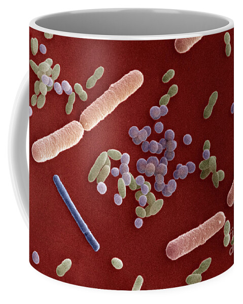 Sem Coffee Mug featuring the photograph Species Of Bacteria #6 by David M Phillips