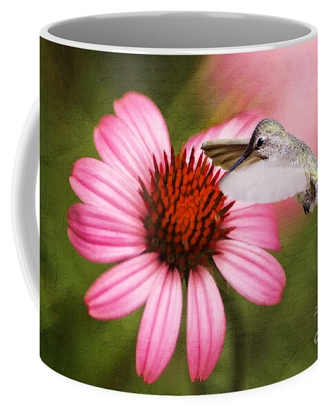 Purple Cone Flower Coffee Mug featuring the photograph Summer Grace #2 by Darren Fisher