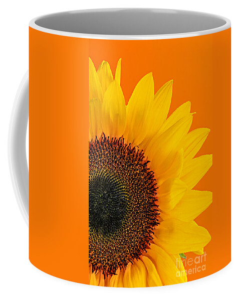 Sunflower Coffee Mug featuring the photograph Sunflower closeup 2 by Elena Elisseeva