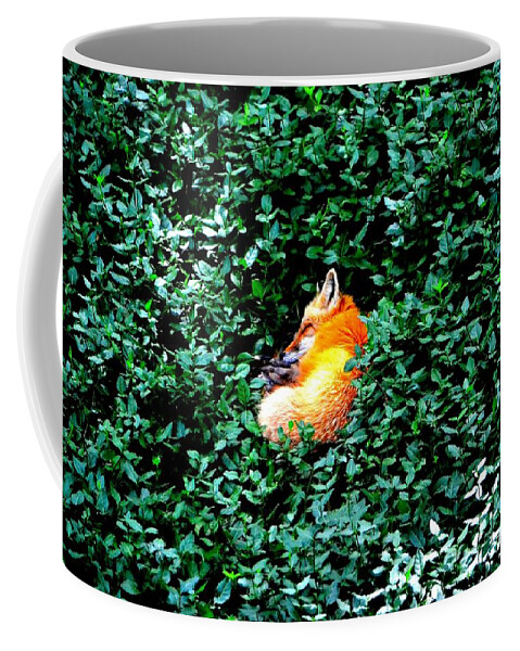 Fox Coffee Mug featuring the photograph Sweet Slumber by Deena Stoddard