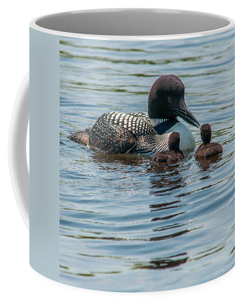 New England Coffee Mug featuring the photograph The First Lesson #2 by Brenda Jacobs